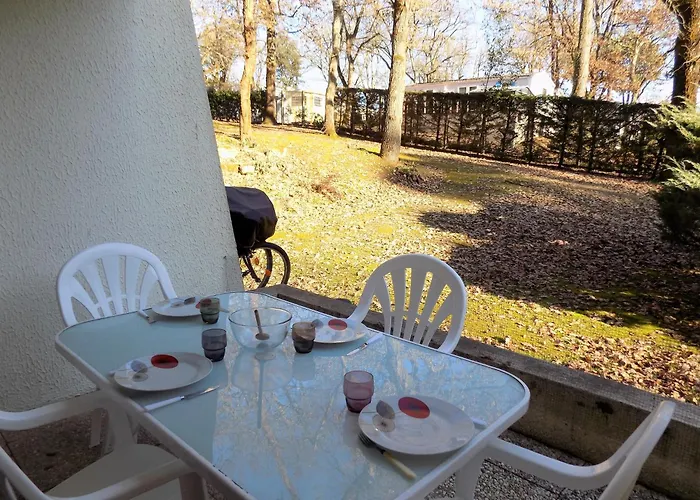 Georges De Didonne - - Boisee Proche