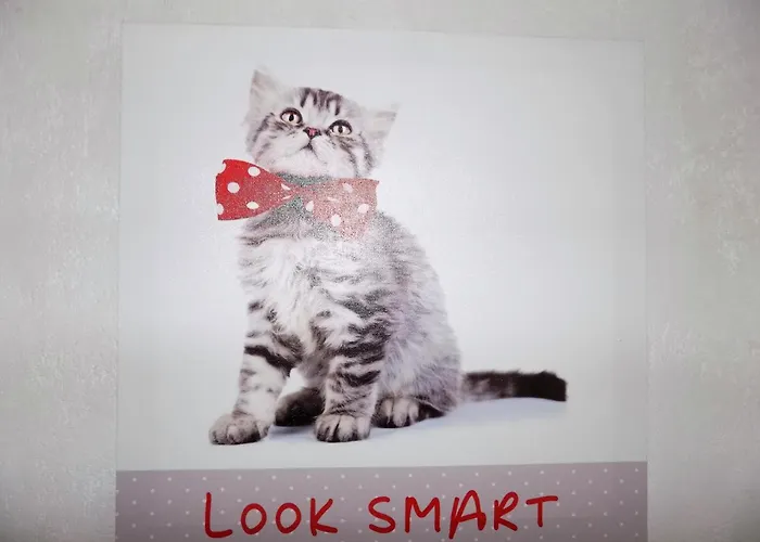 Georges De Didonne - - Boisee Proche *